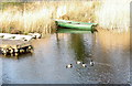 Mallards, boats and rushes