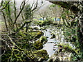 Nant Colwyn above  the bridge