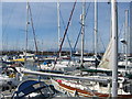 Ardrossan Marina