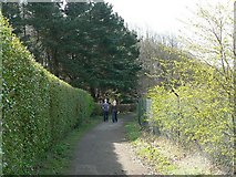 SE3041 : Path by The Lodge and Wigton Knowle by Rich Tea