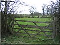 Field Gate and Field by the Old Oswestry Racecourse