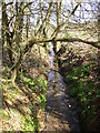 Watercourse crossed by The St.Cuthbert