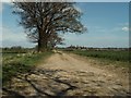 Bridleway to Faulkbourne