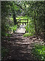 Bridge and Stile at Sandy Down