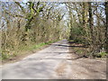 The Lane from Rodlease House to The Old Mill House