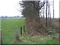 View East from Offas Dyke LDP