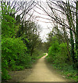 The Old Railway Cutting between Pudsey Greenside & Pudsey Lowtown