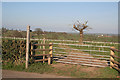 Footpath to Stubwood