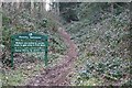 Forestry Commission Path in Frith Wood