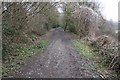 SO7138 : Green Lane, Dog Hill Wood by Bob Embleton
