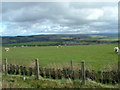 View towards Kingswood