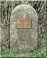 Milestone by the side of the B4363, Shropshire