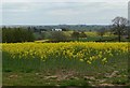 Shropshire countryside