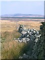 SN7814 : Dry stone wall on Llorfa by Nigel Davies