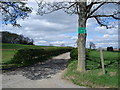 The entrance to Cockleberry Farm