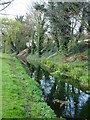 Stream in Faversham