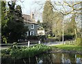 Pond, Hastingleigh