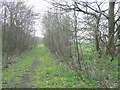 SJ9412 : Course of Old Railway, Pillaton, Staffordshire by Roger  Kidd