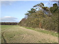 Forest and farmland