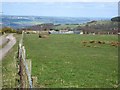 Dukeshagg Farm, above Prudhoe