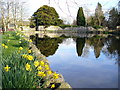 Mill Pond, New Abbey