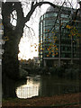 The River Kennet from Reading Abbey Gardens