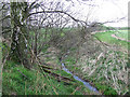 SJ9412 : Stream, near Pillaton, Staffordshire by Roger  D Kidd