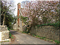 Quiet Lane in North Cheriton