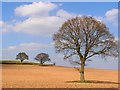 Herefordshire Countryside