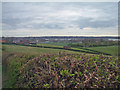 Newhall Infant & Nursery School from Sunnyside