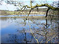 Loch Arthur, east of Beeswing