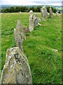 C2500 : Beltany stone circle by Chris Gunns