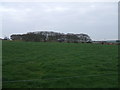 View to Blackhills Farm