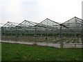 Glasshouses