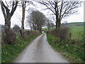 SN5973 : Lon Wledig rhwng Llanilar a Llangwyryfon / Country Lane between Llanilar and Llangwyryfon by Ian Medcalf