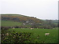 Tir Amaethyddol, Mynydd Mawr / Farmland, Mynydd Mawr