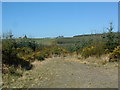 The view towards Clachbrake.