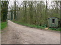 Bridleway to Stock Common, Great Bedwyn