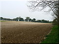 Farmland near Harding Copse, south of Great Bedwyn