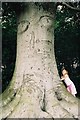 Spooky tree Newmillerdam