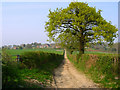 Bridleway to Pelsham