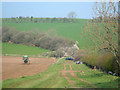 Fields And Track