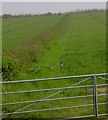 View East over gate at South Shefford