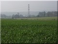 Farmland near Vernham Dean