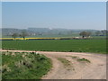 Bridleway near Common Hall