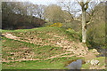 View from Redbanks Bridge