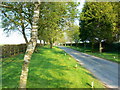 The road to Herridge Stud Farm and Highlands Farm, Collingbourne Ducis