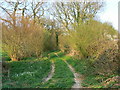 Footpath past Brokenway Copse, Collingbourne Kingston