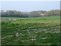 Farmland east of Hegdale Farm