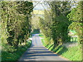 The road past Wexcombe, Wiltshire